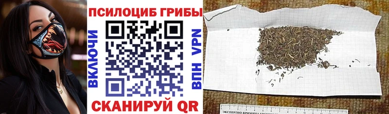 дарнет шоп  Калининец  Псилоцибиновые грибы ЛСД 